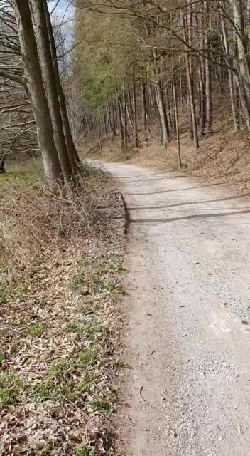 Ferienwohnung Wolf Gräfenroda Kültér fotó